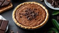 A chocolate pie with chocolate chips on top of it Royalty Free Stock Photo
