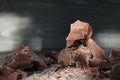 Chocolate pieces on a dark backround Royalty Free Stock Photo