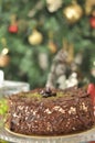 Fresh delicious Chocolate Pistaccio Cake with Christmas decoration Royalty Free Stock Photo