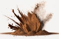 Chocolate powder splashed with water