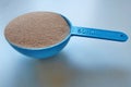 Chocolate protein powder - blue measuring cup Royalty Free Stock Photo