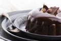 Chocolate pudding with chocolate dressing on a plate Royalty Free Stock Photo