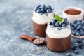 Chocolate pudding and greek yogurt parfait with blueberries Royalty Free Stock Photo