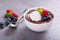 Chocolate pudding with whipped cream and berries Royalty Free Stock Photo