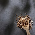 Chocolate quinoa seeds in the wooden spoon - Chenopodium quinoa