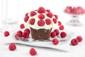 Chocolate raspberry cupcake Royalty Free Stock Photo