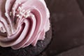 Chocolate Raspberry Cupcake Royalty Free Stock Photo