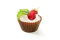 Chocolate Raspberry Cupcake Royalty Free Stock Photo