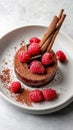 Chocolate raspberry dessert with cinnamon sticks on white plate Royalty Free Stock Photo