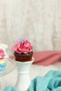 Chocolate and raspberry mini cupcake Royalty Free Stock Photo