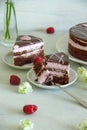 Chocolate and raspberry piece of cake on a white plate with white flowers and fresh berries cut with a fork Royalty Free Stock Photo