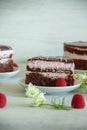 Chocolate and raspberry piece of cake on a white plate with white flowers and fresh berries Royalty Free Stock Photo