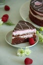 Chocolate and raspberry piece of cake on a white plate with white flowers and fresh berries Royalty Free Stock Photo