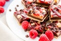 Chocolate raspberry squares