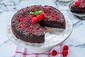 Chocolate and raspberry torte Royalty Free Stock Photo