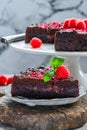 Chocolate and raspberry torte Royalty Free Stock Photo