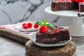 Chocolate and raspberry torte Royalty Free Stock Photo