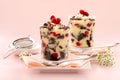 Chocolate Raspberry Trifle Royalty Free Stock Photo