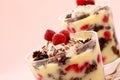 Chocolate Raspberry Trifle Royalty Free Stock Photo