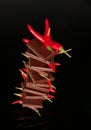 Chocolate with red chili pepper Royalty Free Stock Photo