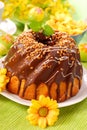 Chocolate ring cake for easter Royalty Free Stock Photo