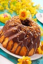 Chocolate ring cake for easter Royalty Free Stock Photo