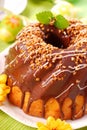 Chocolate ring cake for easter Royalty Free Stock Photo
