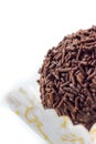 Chocolate rum truffle Royalty Free Stock Photo