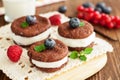 Chocolate sandwich cookies Royalty Free Stock Photo