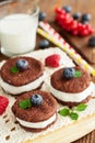 Chocolate sandwich cookies Royalty Free Stock Photo