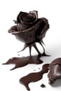 Chocolate Sensation: A Rich Rose to Delight Your Senses