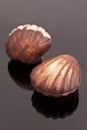 Chocolate shells Royalty Free Stock Photo