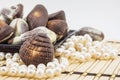 Chocolate shells and freshwater pearls Royalty Free Stock Photo