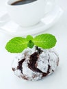 Chocolate snowcap Royalty Free Stock Photo