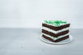 Chocolate sponge cake with buttercream interlayer located on the right. White background. Green dusting Royalty Free Stock Photo