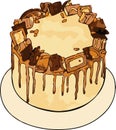 Chocolate sponge cake with pieces of chocolate and sweets for the holiday international cake day vector