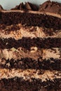 Chocolate sponge layered cake with brown chocolate cream cheese filling as a textured background. Macro shot Royalty Free Stock Photo