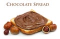 Chocolate spread and filbert nuts Royalty Free Stock Photo