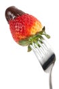 Chocolate Strawberry On Fork Royalty Free Stock Photo