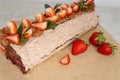 Chocolate strawberry roll cake. Homemade cake roll with cream. Royalty Free Stock Photo