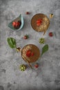 2 smoothie bowls with strawberries, chocolate, kiwi. healthy, natural, organic diet food and drink, weight loss nutrition vegan Royalty Free Stock Photo