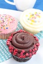 Chocolate, Strawberry and vanilla cupcakes Royalty Free Stock Photo