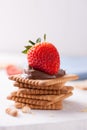 Chocolate sweet melting nougat cream on cookies with strawberries Royalty Free Stock Photo