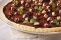 Chocolate tart with hazelnut and mint close-up. Horizontal