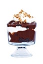 Chocolate Trifle Royalty Free Stock Photo