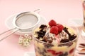 Chocolate Trifle Royalty Free Stock Photo