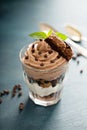 Chocolate trifle dessert in a glass Royalty Free Stock Photo