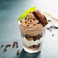 Chocolate trifle dessert in a glass Royalty Free Stock Photo