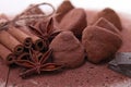 Chocolate truffle Royalty Free Stock Photo