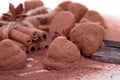 Chocolate truffle Royalty Free Stock Photo